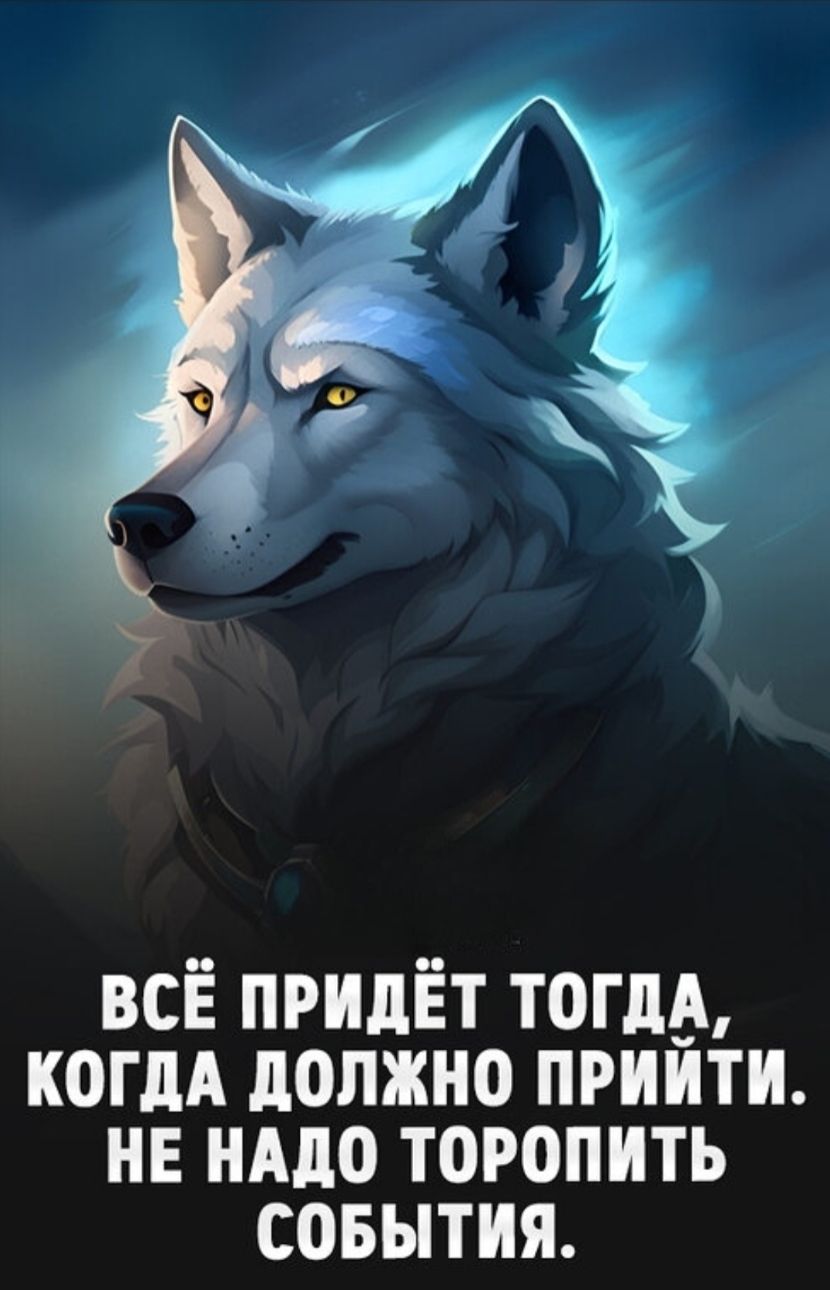ВСЁ ПРИДЕТ ТОГДА, КОГДА ДОЛЖНО ПРИЙДИТЬ. НЕ НАДО ТОРОПИТЬ СОБЫТИЯ.