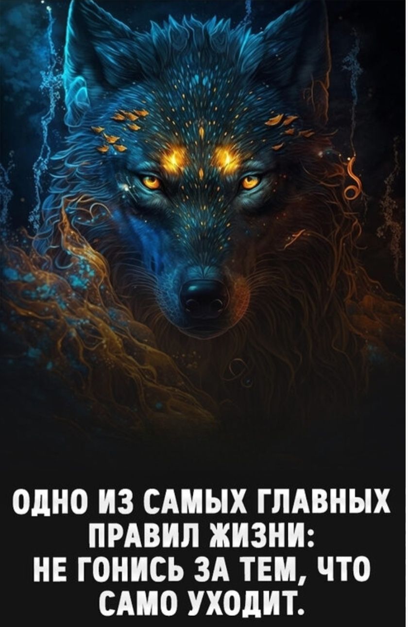 ОДНО ИЗ САМЫХ ГЛАВНЫХ ПРАВИЛ ЖИЗНИ: НЕ ГОНИМ ЗА ТЕМ, ЧТО САМО УХОДИТ.