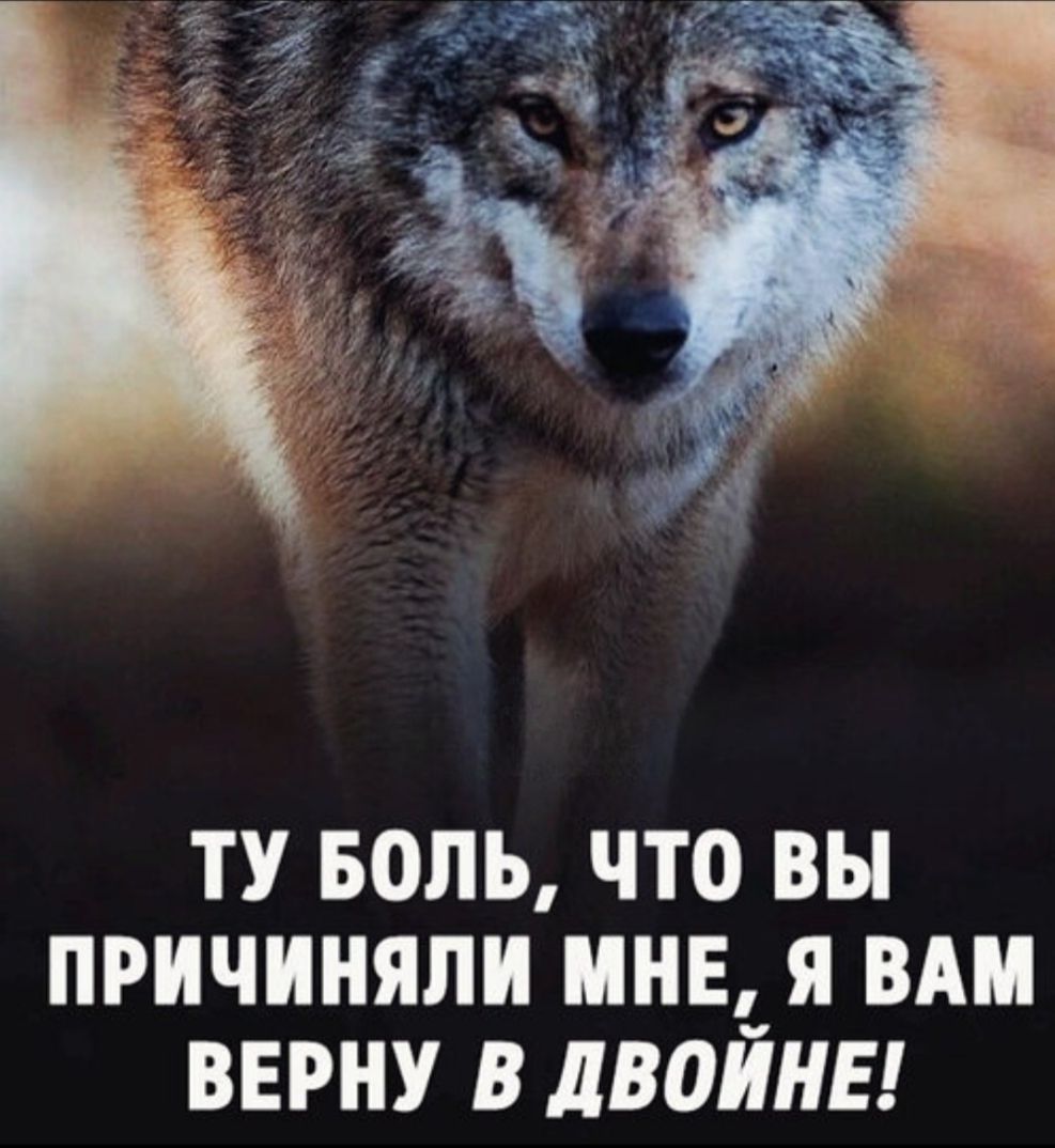 Ту боль, что вы причинили мне, я вам верну в двойне!