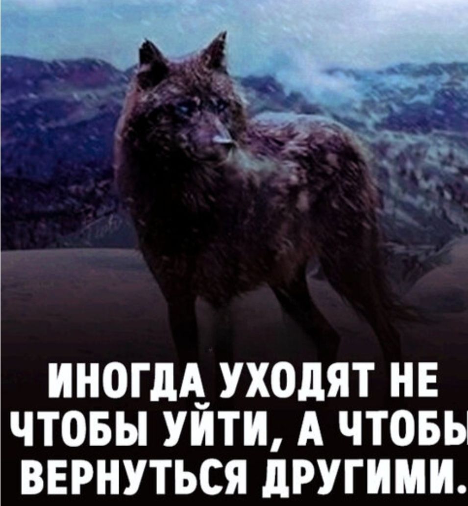 ИНОГДА УХОДЯТ НЕ ЧТОБЫ УЙТИ, А ЧТОБ ВЕРНУТЬСЯ ДРУГИМИ.