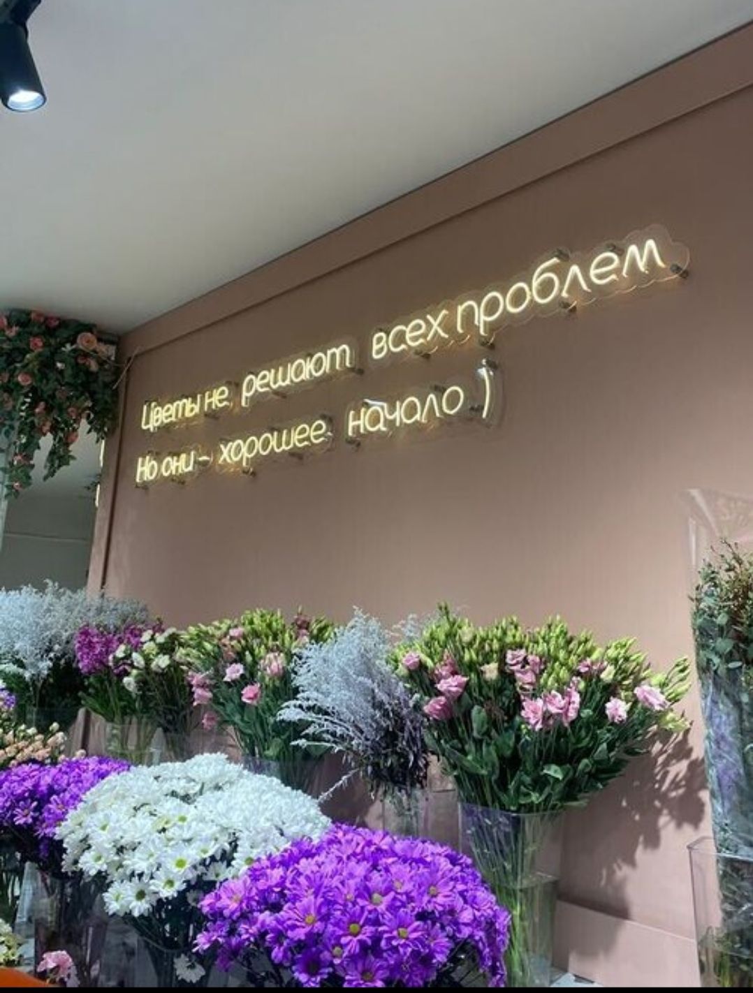 Цветы не решают всех проблем, но они - хорошее начало :)