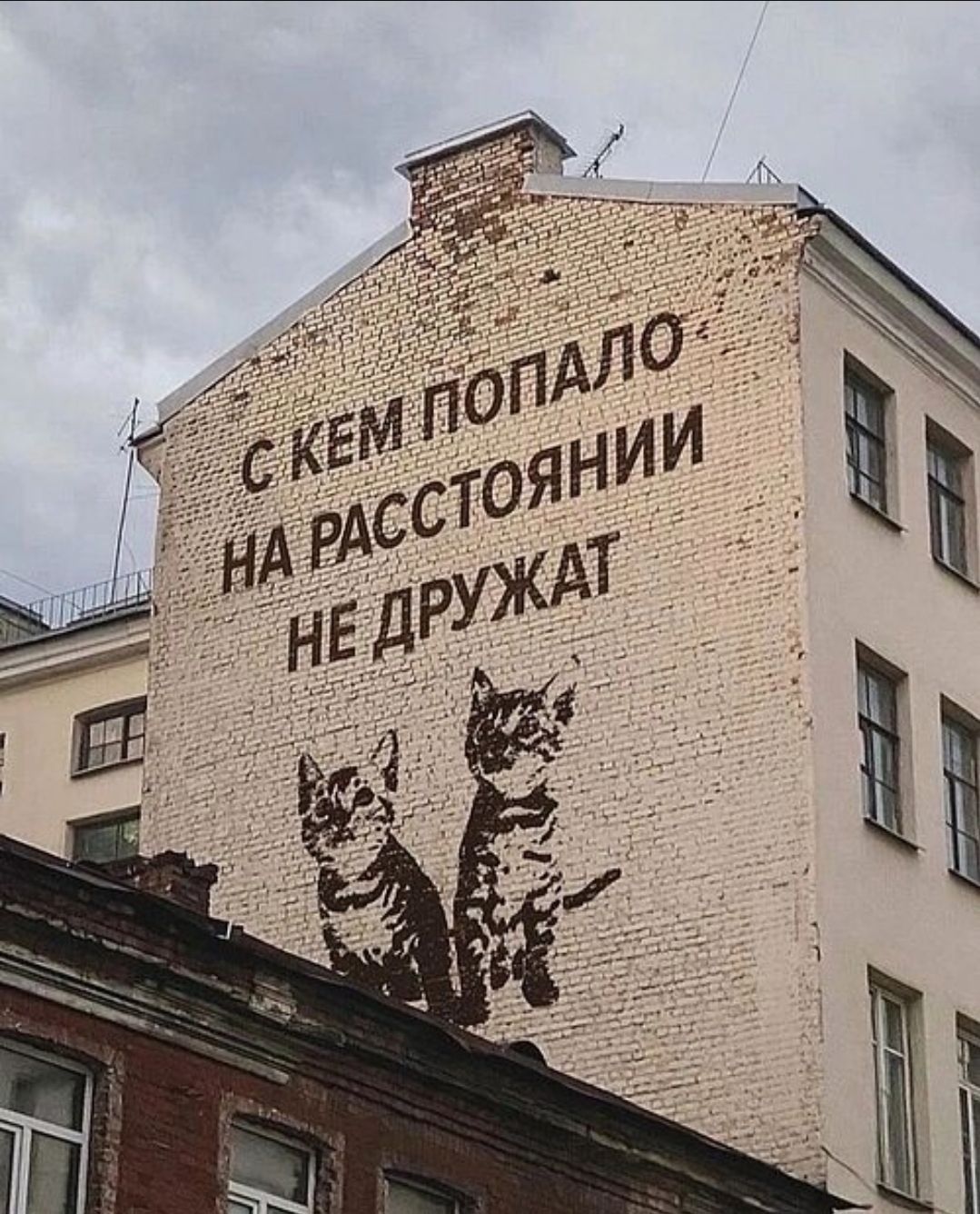 С КЕМ ПОПАЛО НА РАССТОЯНИИ НЕ ДРУЖАТ