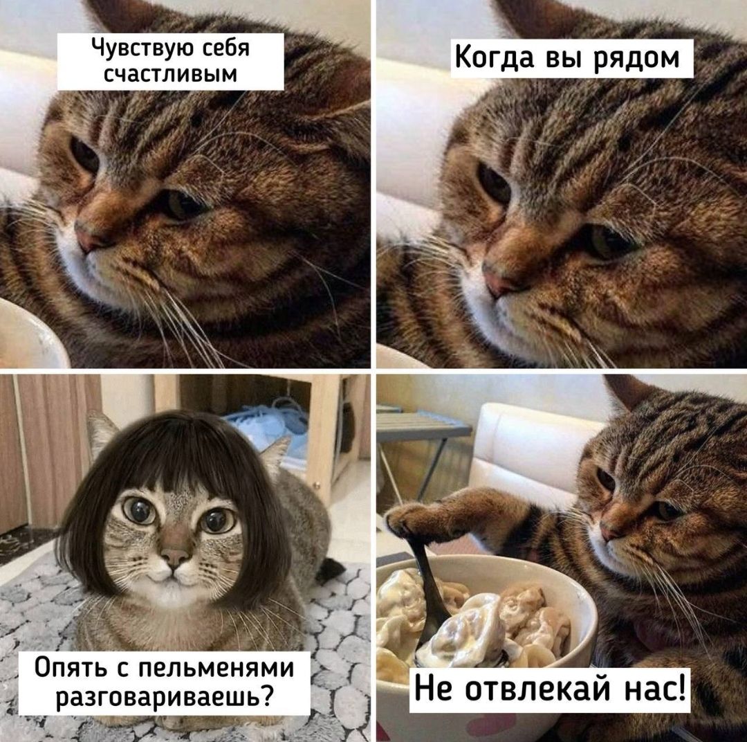 Чувствую себя счастливым
Когда вы рядом
Опять с пельменями разговариваешь?
Не отвлекай нас!
