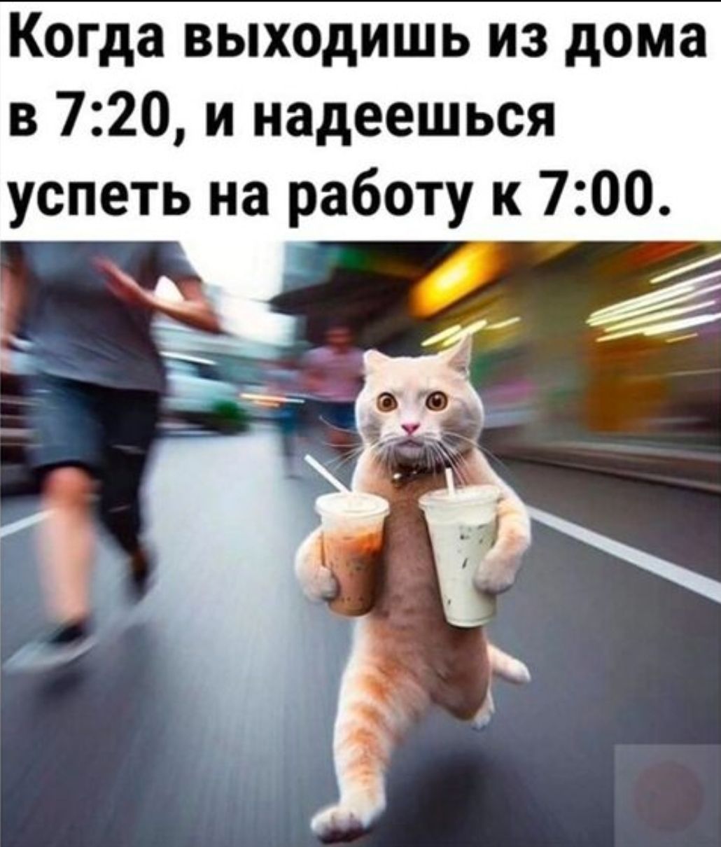Когда выходишь из дома в 7:20, и надеешься успеть на работу к 7:00.