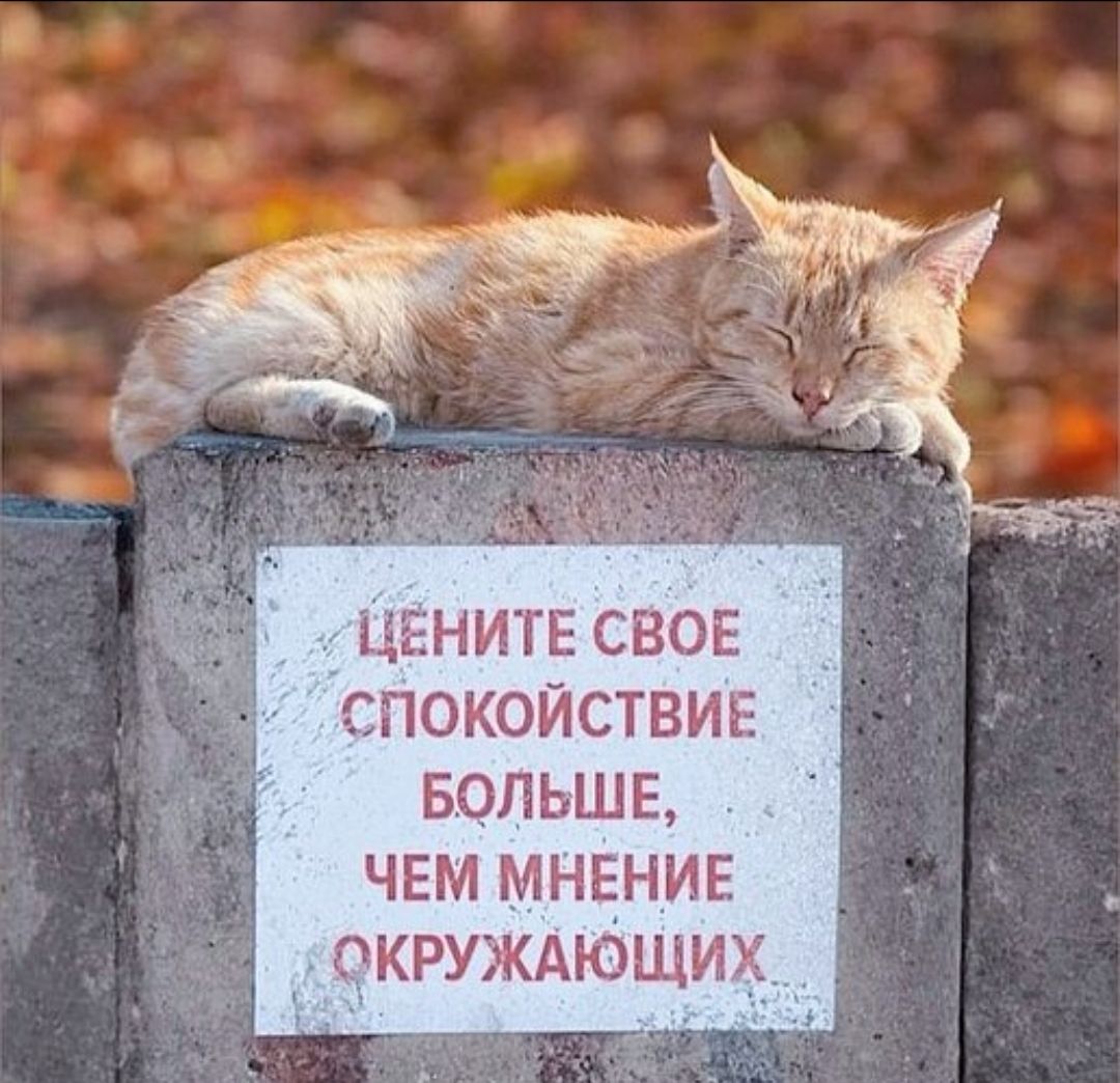ЦЕНИТЕ СВОЕ СПОКОЙСТВИЕ БОЛЬШЕ, ЧЕМ МНЕНИЕ ОКРУЖАЮЩИХ