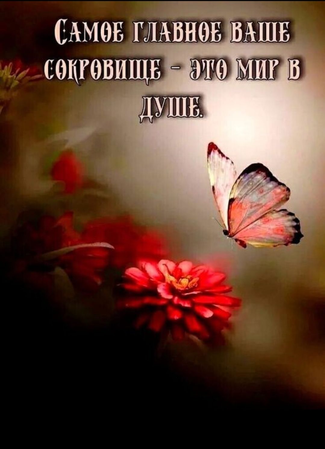 САМОЕ ГЛАВНОЕ ВАШЕ СОКРОВИЩЕ - ЭТО МИР В ДУШЕ.