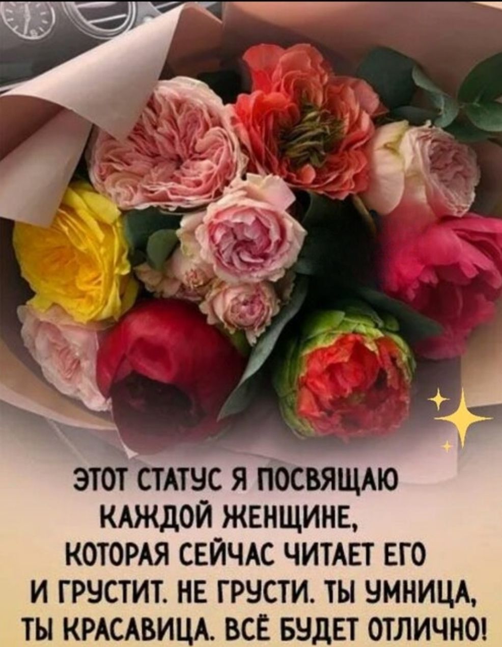 ЭТОТ СТАТУС Я ПОСВЯЩАЮ КАЖДОЙ ЖЕНЩИНЕ, КОТОРАЯ СЕЙЧАС ЧИТАЕТ ЕГО И ГРУСТИТ. НЕ ГРУСТИ. ТЫ УМНИЦА, ТЫ КРАСАВИЦА. ВСЁ БУДЕТ ОТЛИЧНО!