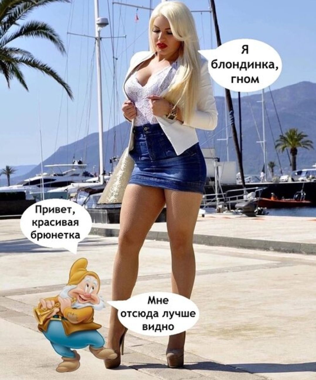 Я блондинка, гном; Привет, красивая бронетка; Мне отсюда лучше видно