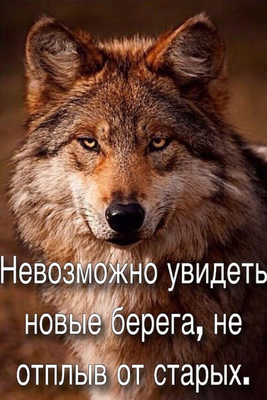 Невозможно увидеть новые берега, не отплыв от старых.