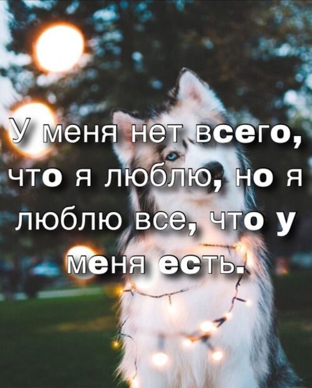 У меня нет всего, что я люблю, но я люблю все, что у меня есть.