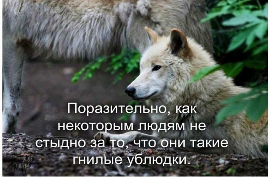 Поразительно, как некоторым людям не стыдно за то, что они такие гнилые ублюдки.