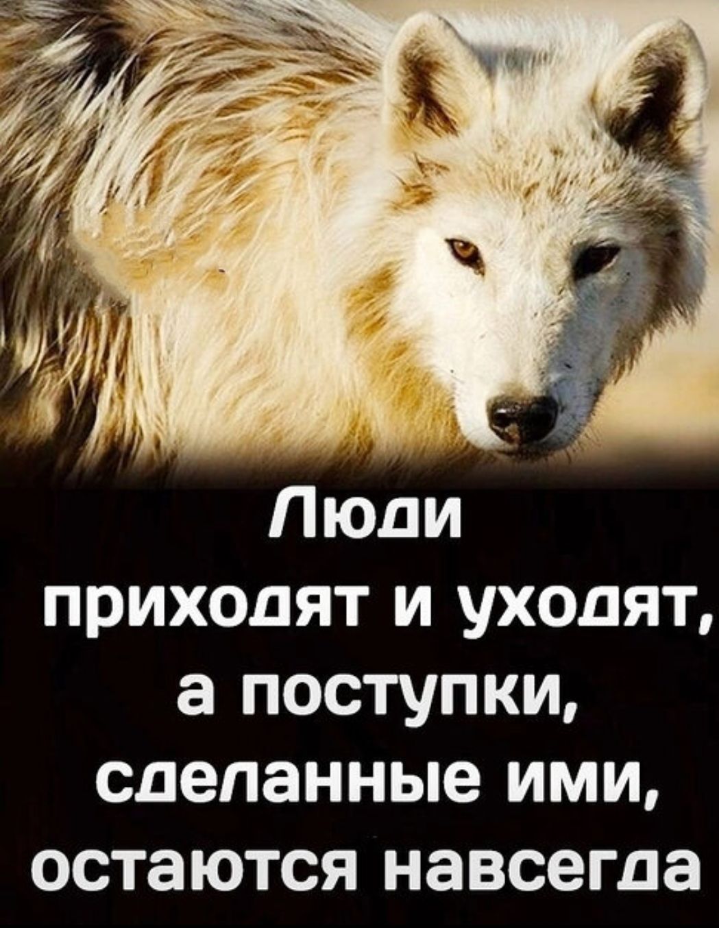 Люди приходят и уходят, а поступки, сделанные ими, остаются навсегда