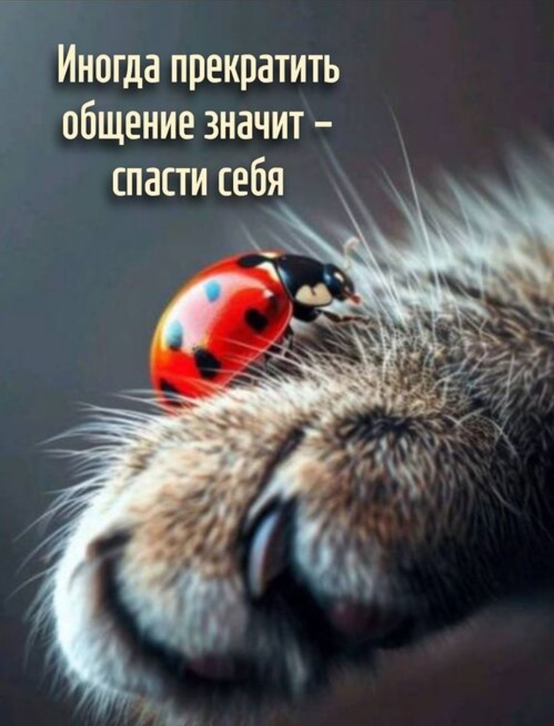 Иногда прекратить общение значит – спасти себя