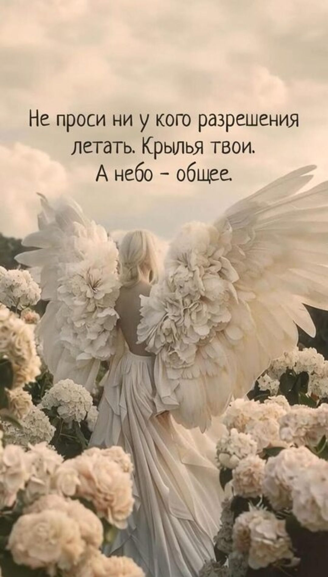 Не проси ни у кого разрешения летать. Крылья твои. А небо – общее.