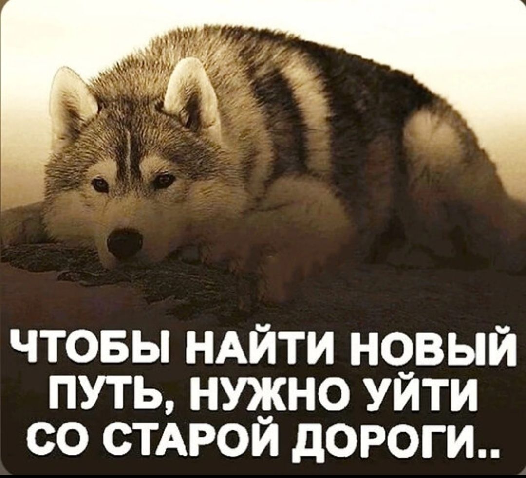 ЧТОБЫ НАЙТИ НОВЫЙ ПУТЬ, НУЖНО УЙТИ СО СТАРОЙ ДОРОГИ..