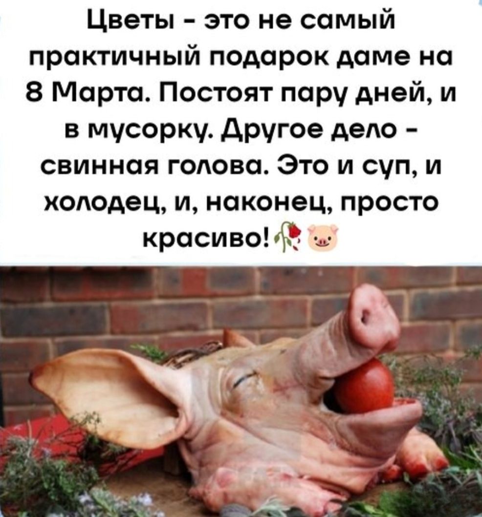 Цветы - это не самый практичный подарок даме на 8 Марта. Постоят пару дней, и в мусорку. Другое дело - свиная голова. Это и суп, и холодец, и, наконец, просто красиво!