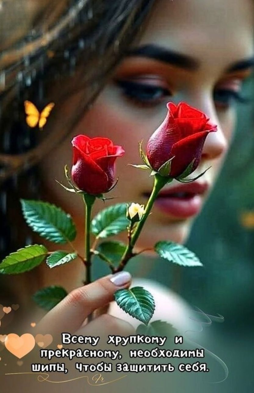 Всему хрупкому и прекрасному, необходимы шипы, Чтобы защитить себя.