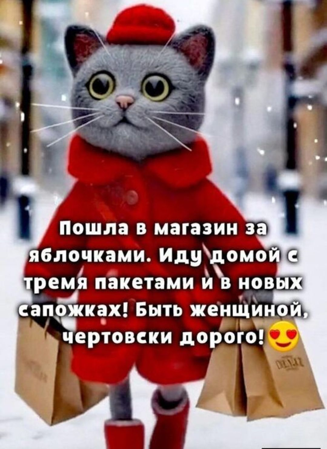 Пошла в магазин за яблочками. Иду домой с тремя пакетами и в новых сапожках! Быть женщиной, чертовски дорого! 😍