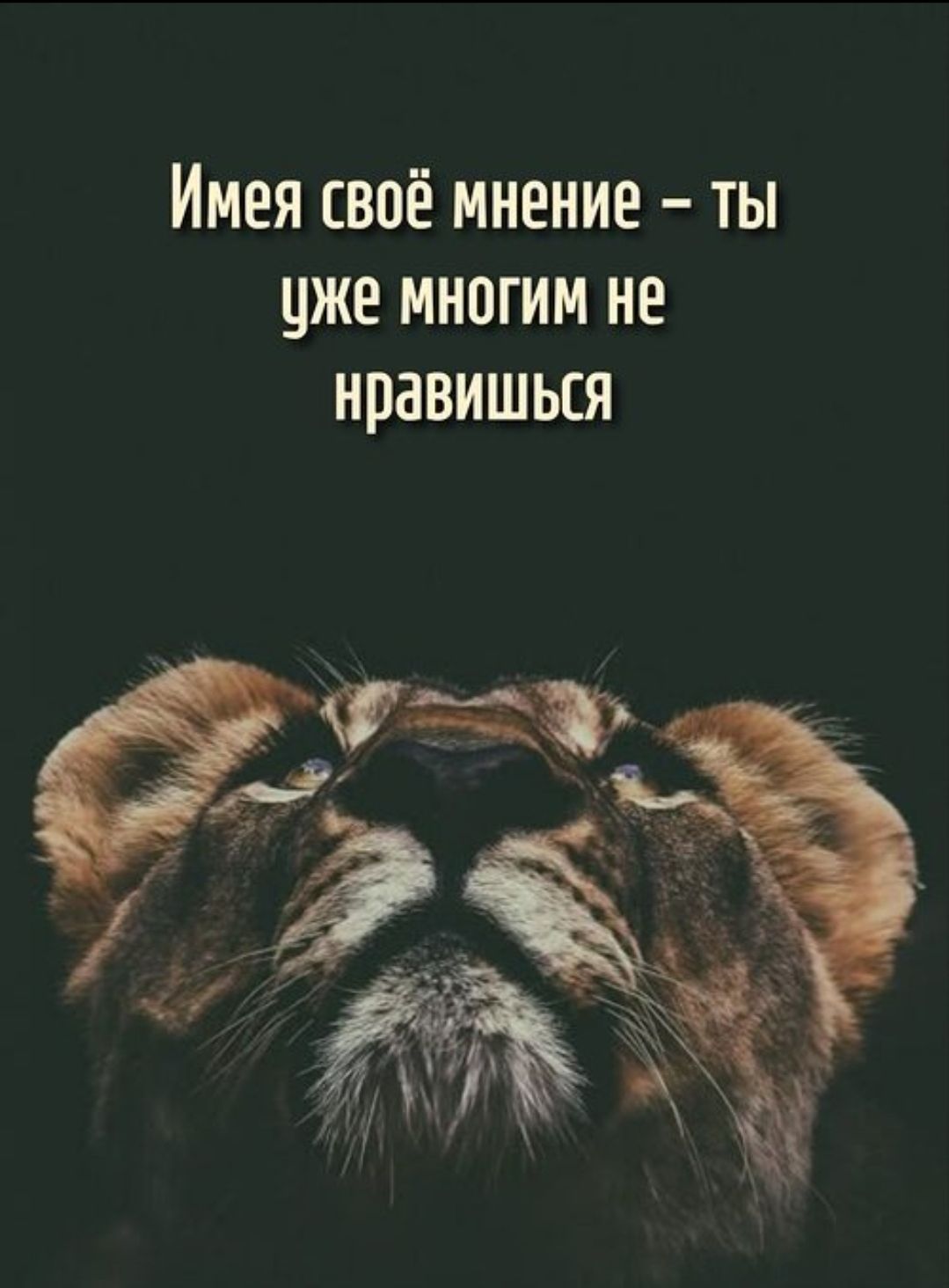 Имея своё мнение – ты уже многим не нравишься