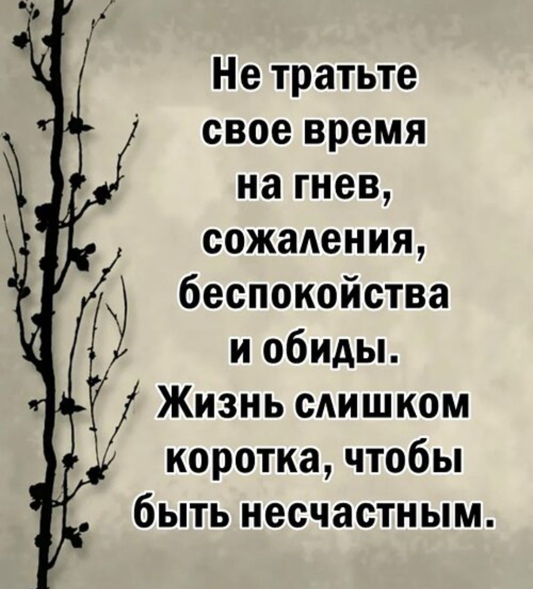 Не тратьте свое время на гнев, сожаления, беспокойства и обиды. Жизнь слишком коротка, чтобы быть несчастным.