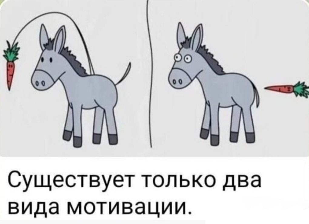Существует только два вида мотивации.