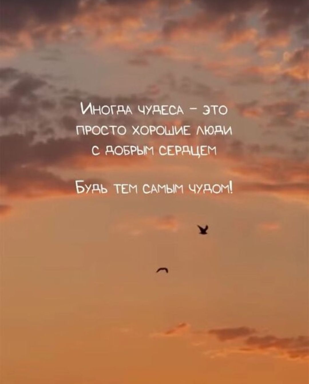 ИНОГДА ЧУДЕСА - ЭТО ПРОСТО ХОРОШИЕ ЛЮДИ С ДОБРЫМ СЕРДЦЕМ. БУДЬ ТЕМ САМЫМ ЧУДОМ!