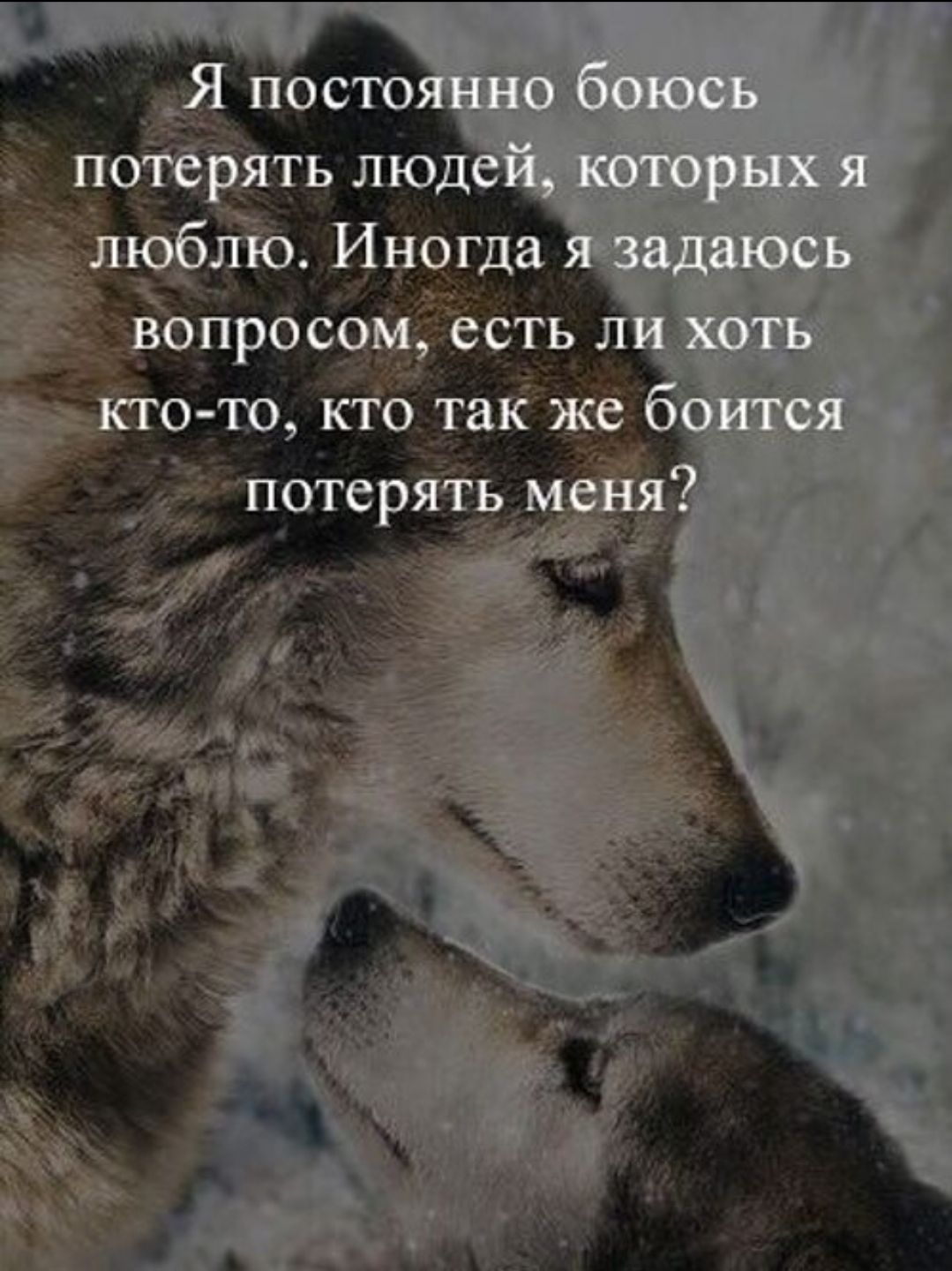 Я постоянно боюсь потерять людей, которых я люблю. Иногда я задаюсь вопросом, есть ли хоть кто-то, кто так же боится потерять меня?