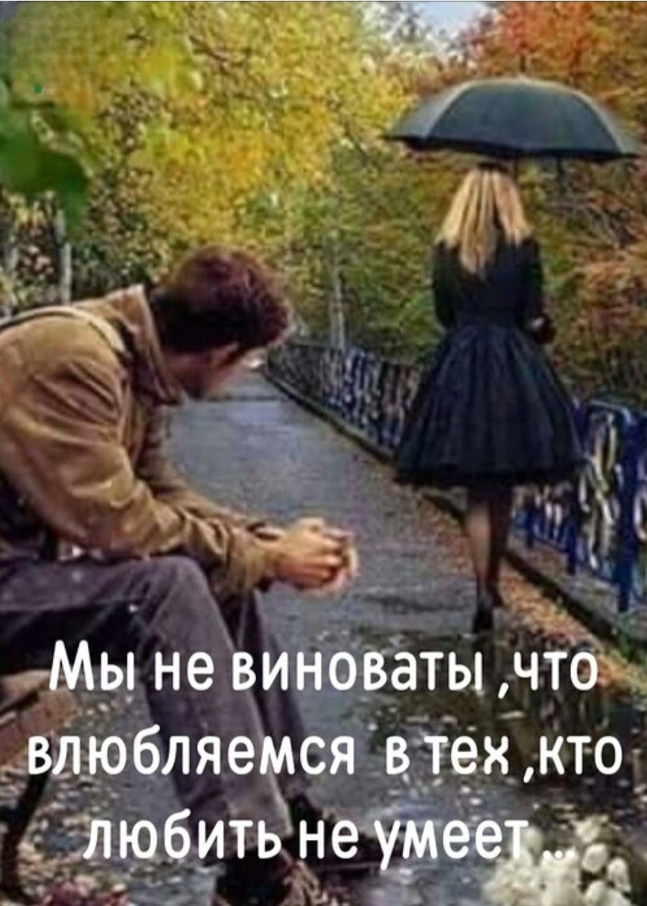 Мы не виноваты, что влюбляемся в тех, кто любить не умеет...