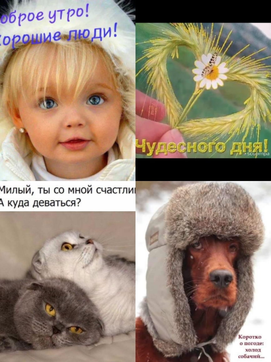 наш кирп имп п1п1 ибп шп