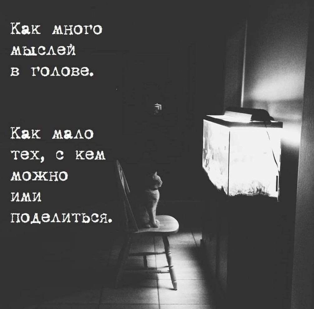 Как много мысдеи в годове Как мяАо тех с кем можно ими подыматься