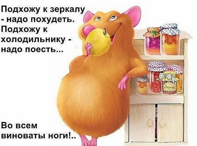 Подхожу к зеркалу надо похудеть Подхожу к холодильнику надо поесть Во всем виноваты ноги