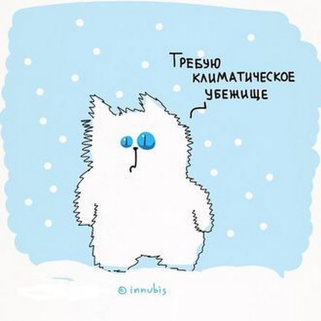 Трвввю кшмдтичвское ЧБЕЖИЩЕ