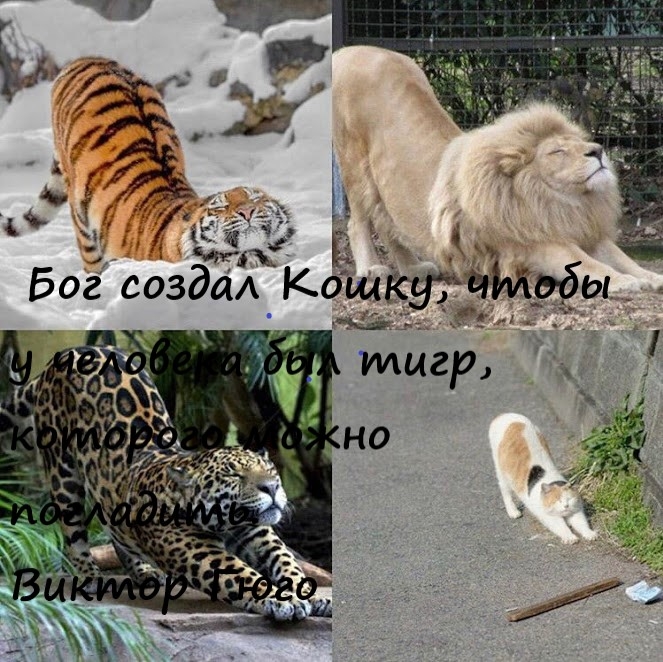 Ё Ё Бог созда Кощ_ _