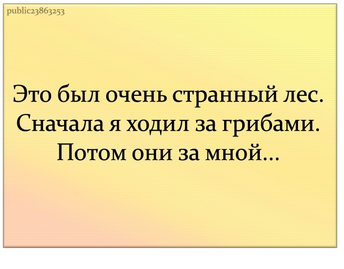 рнЫшг5 Это был очень странный лес Сначала я ходил за грибами Потом они за мной