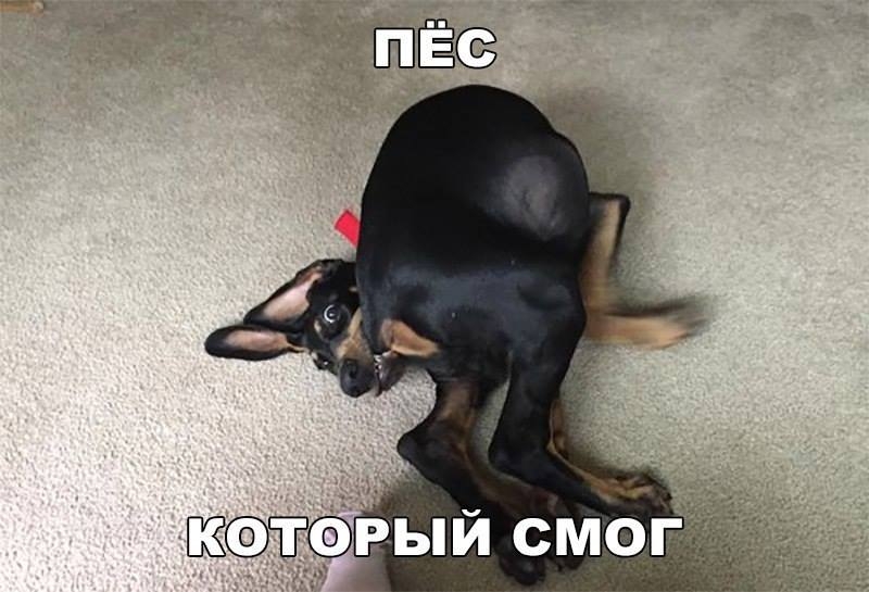 ый смо