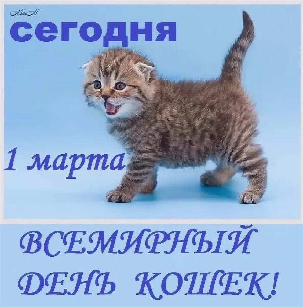 Ёыегодя ЧЗСЪМЯЩЧШЯЙ таясь КОПИЕК