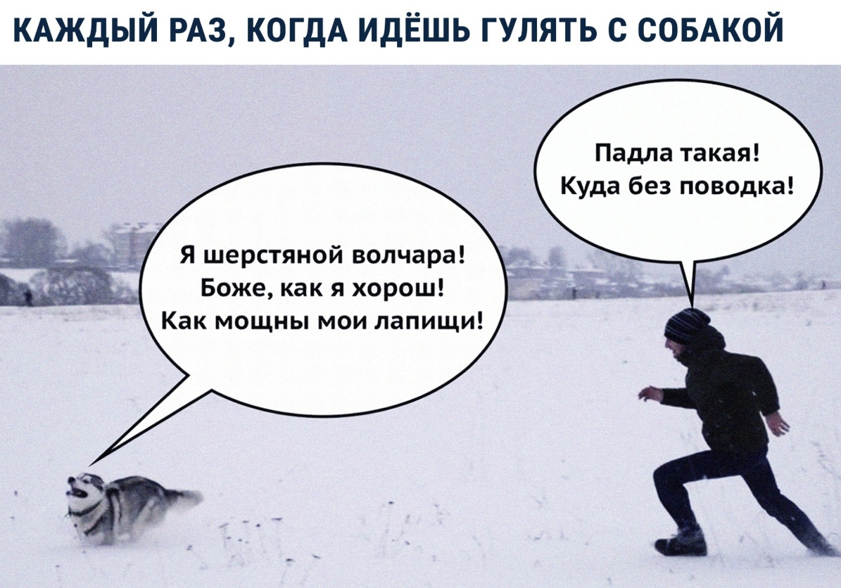 КАЖДЫЙ РАЗ КОГДА ИДЁШЬ ГУЛЯТЬ С СОБАКОЙ Падла такая Куда без поводка Я шерстяной волчара Боже как я хорош Как мощны мои лапищи