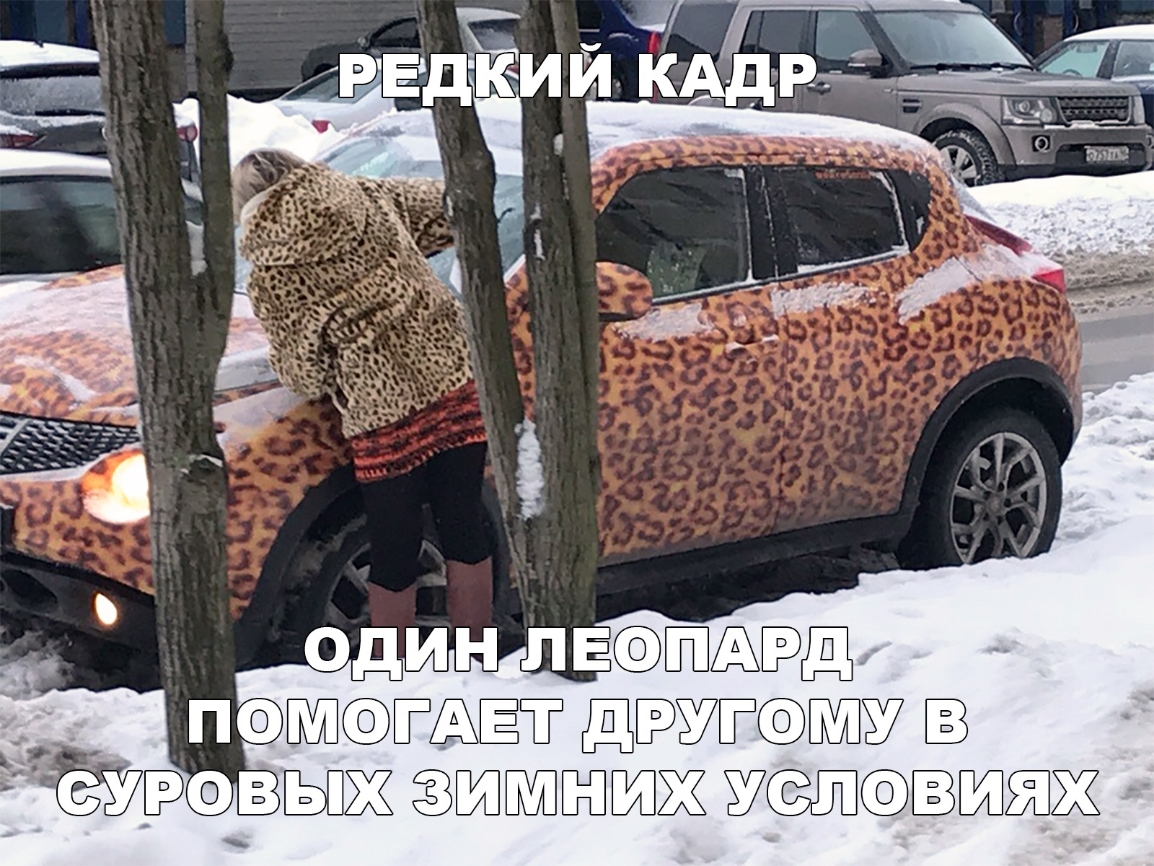 _а _ пэпмпсфтъёт д7 ЁЁУЁВЫЖ ШЗШШЮЕШЖ 211