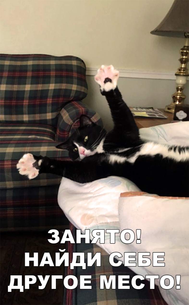 НАЙДЙСЕЁЁ другое мвст9