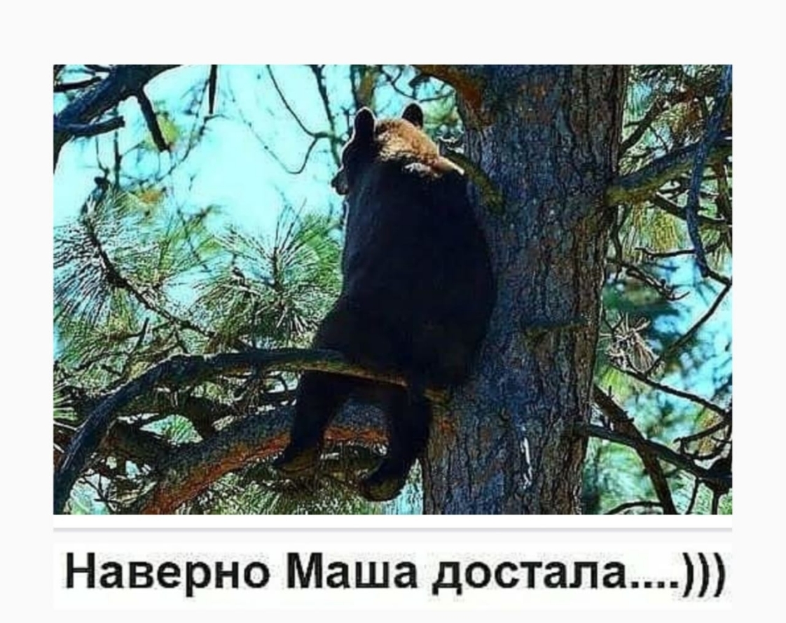 Наверно Маша достала