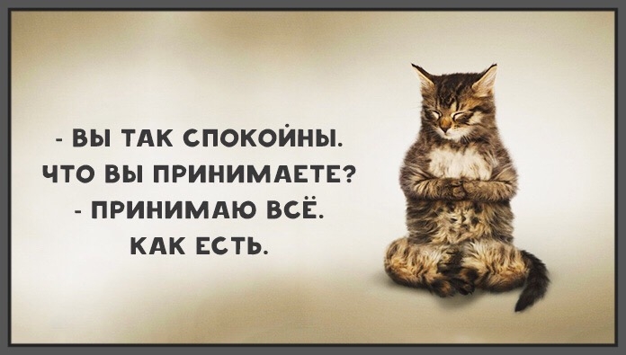 вы ТАК спокойны что вы принимдвтс принимдю всё кдк есть