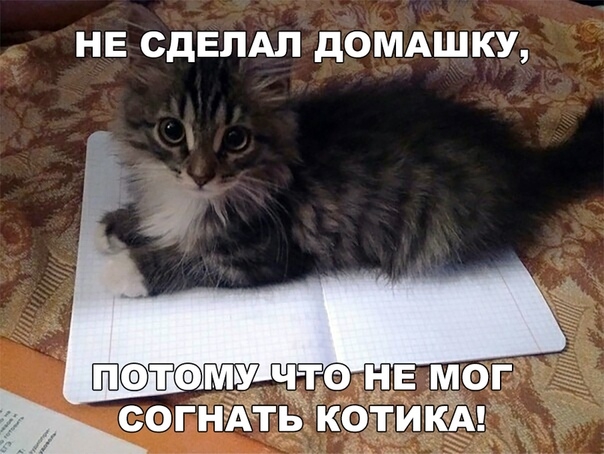 НЕ СДЕЛАЛ дОМАШКУ