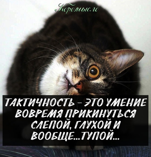 ТЖТИЧЛОСТЬ ЭТО УДНИЕ ВОВРЕИЯ РИКИЛХТЬСЯ СЛЕЛОИ Г ДУХ 0И_ И ВООБЩЕ ПЛОИ