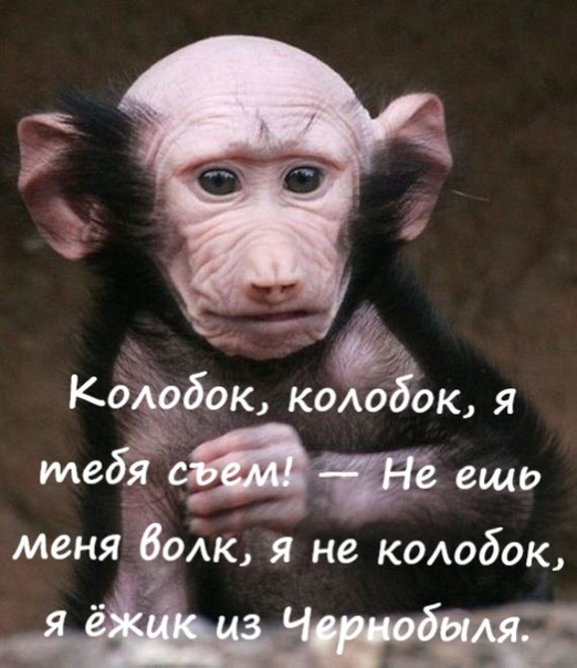 ддедок коло ок 51 медідт ещо менябоАк я не кодобок