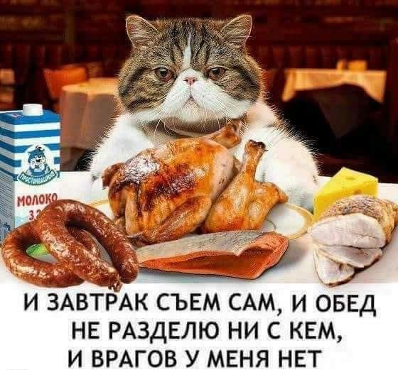 И ЗАВТРАК СЪЕМ САМ И ОБЕД НЕ РАЗДЕЛЮ НИ С КЕМ И ВРАГОВ У МЕНЯ НЕТ