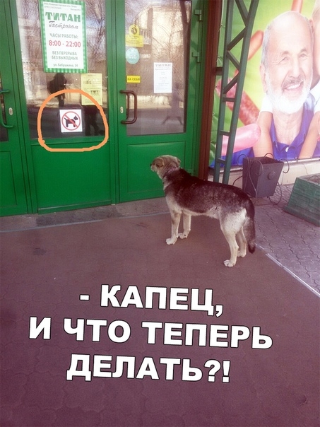И ЧТО ТЕПЕРЬ дЕЛАТЬ