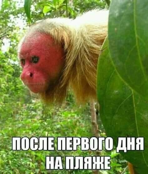 _ _ _ _ д _ ВЁЛБПЕВВШЮ дня А Р АППП ЖЕ _ т ч 9
