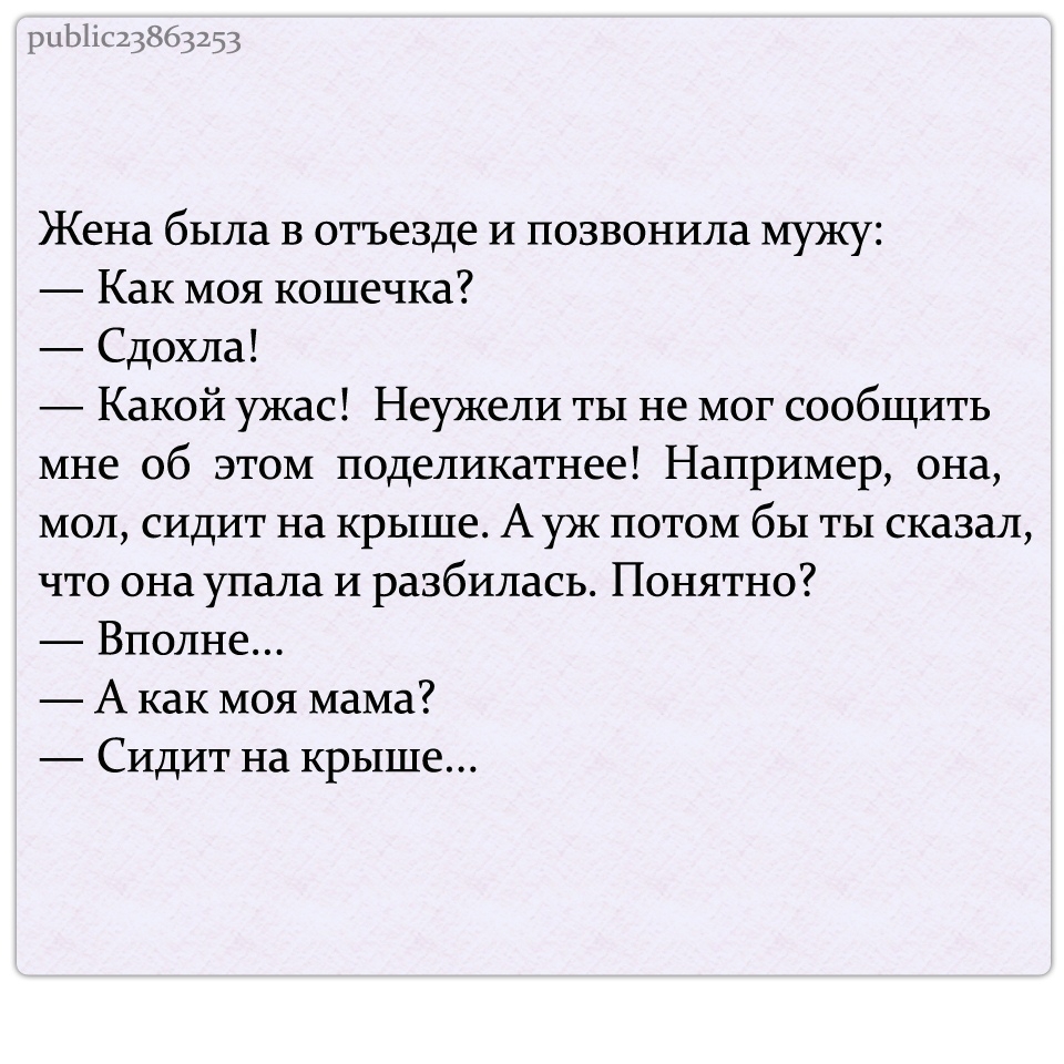 Женв была в отъезде и позванила мужу Как моя кошечка Сдохла Какой ужас Неужели ты не мог сообщить мне об этом поделикагнее Например она мол сидит на крыше Ауж потом бы ты сказал что она упала и разбилась Понятно Вполне А как моя мама _ Сидит на крыше