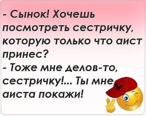 Сынок Хочешь посмотреть сестричку которую ТОАЬКО что аист принес Тоже мне АеАОВ ТО сестричку Ты мне аиста покажи