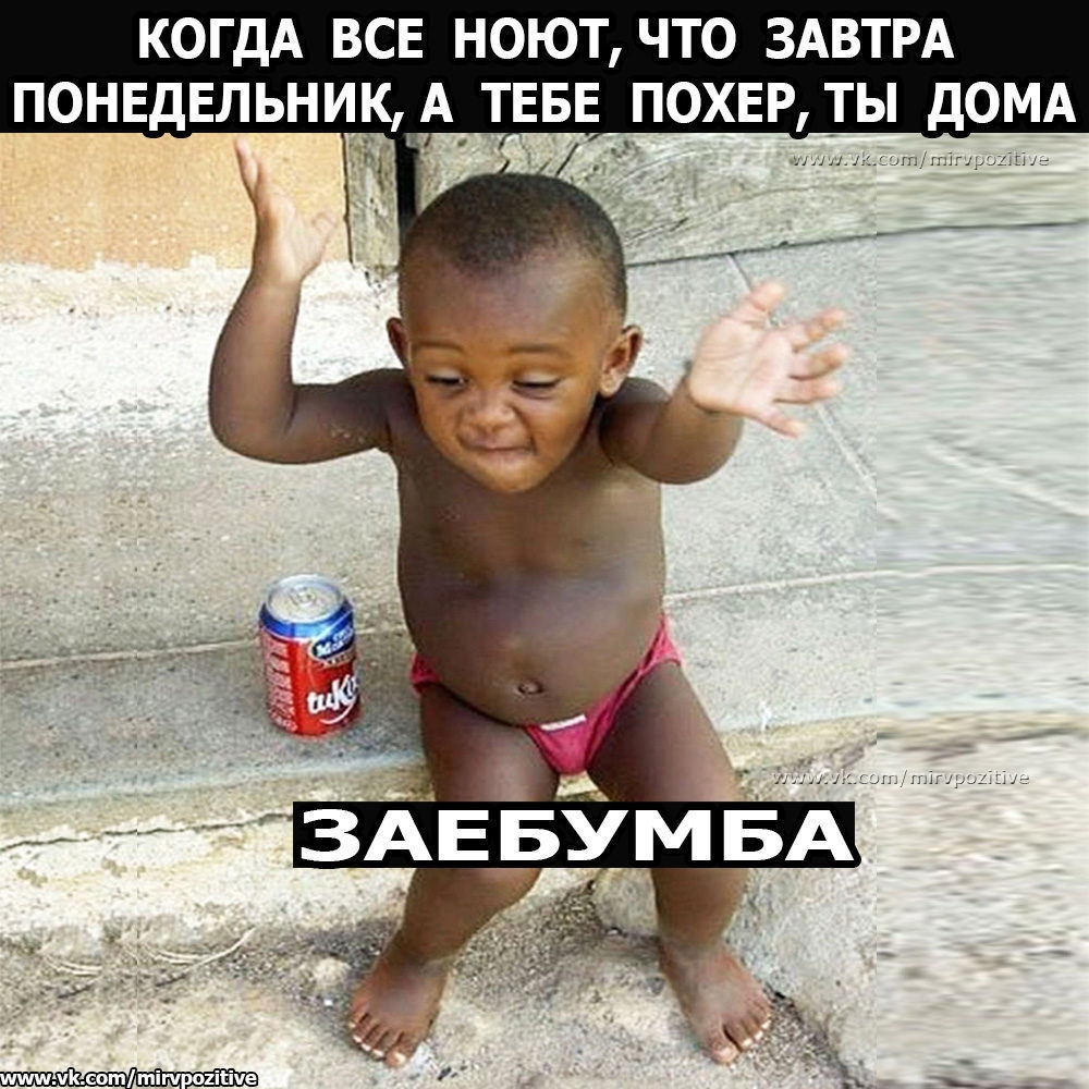 КОГДА ВСЕ НОЮТ ЧТО ЗАВТРА ПОНЕДЕЛЬНИКдАТЕБЕ ОХЕР Ы дОМА